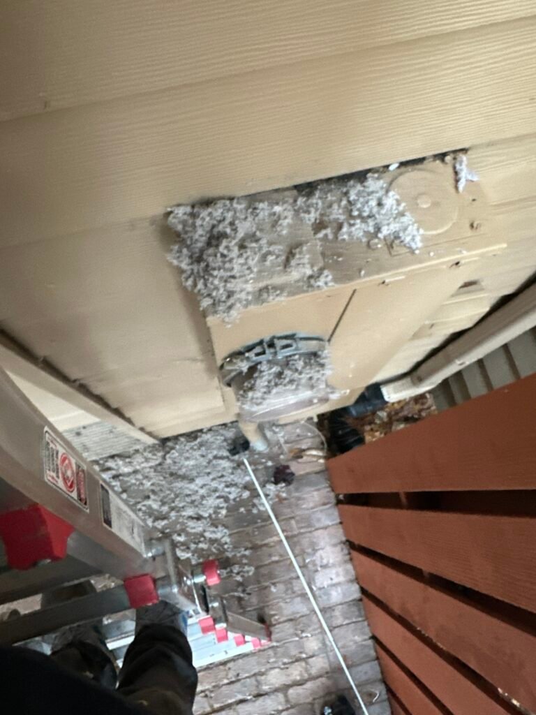 Accumulated dryer lint near building's base.